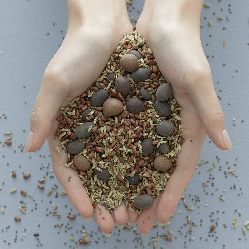 Vital Treatment 9 Essential Seeds